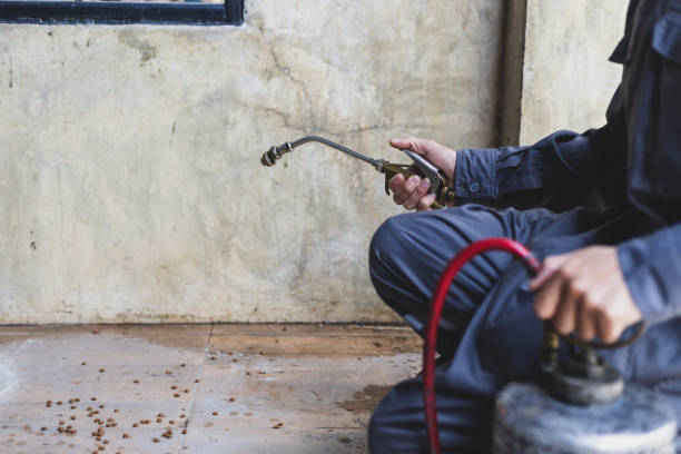 Best Affordable Pest Control Services  in Cottonwood, CA